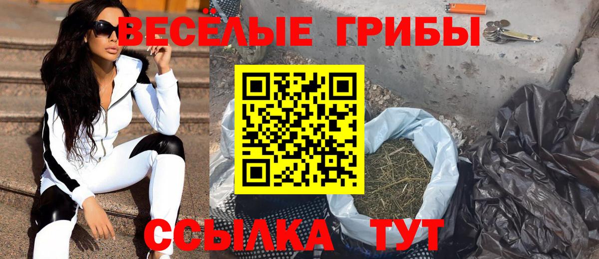 Псилоцибиновые грибы GOLDEN TEACHER  Галлюциногенные грибы прущие грибы  Вход с VPN  Елизово 