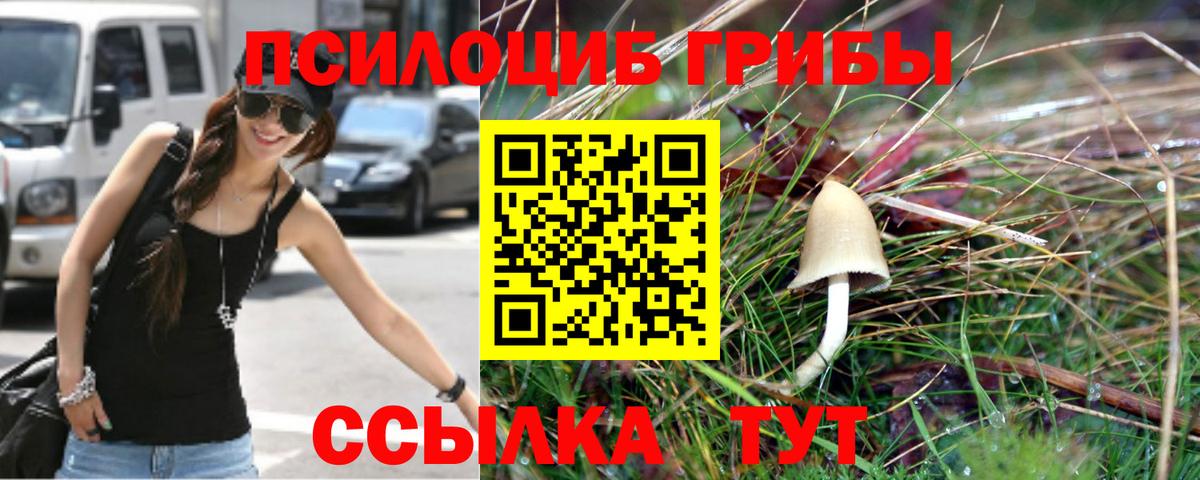 Псилоцибиновые грибы мицелий Елизово